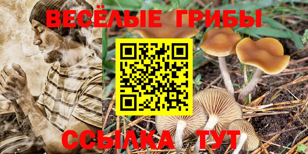 где продают   Галлюциногенные грибы Psilocybe  Вход с VPN  Комсомольск-на-Амуре 