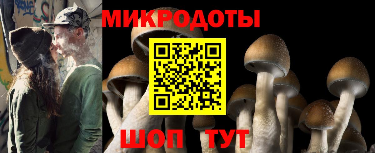 Галлюциногенные грибы GOLDEN TEACHER Комсомольск-на-Амуре